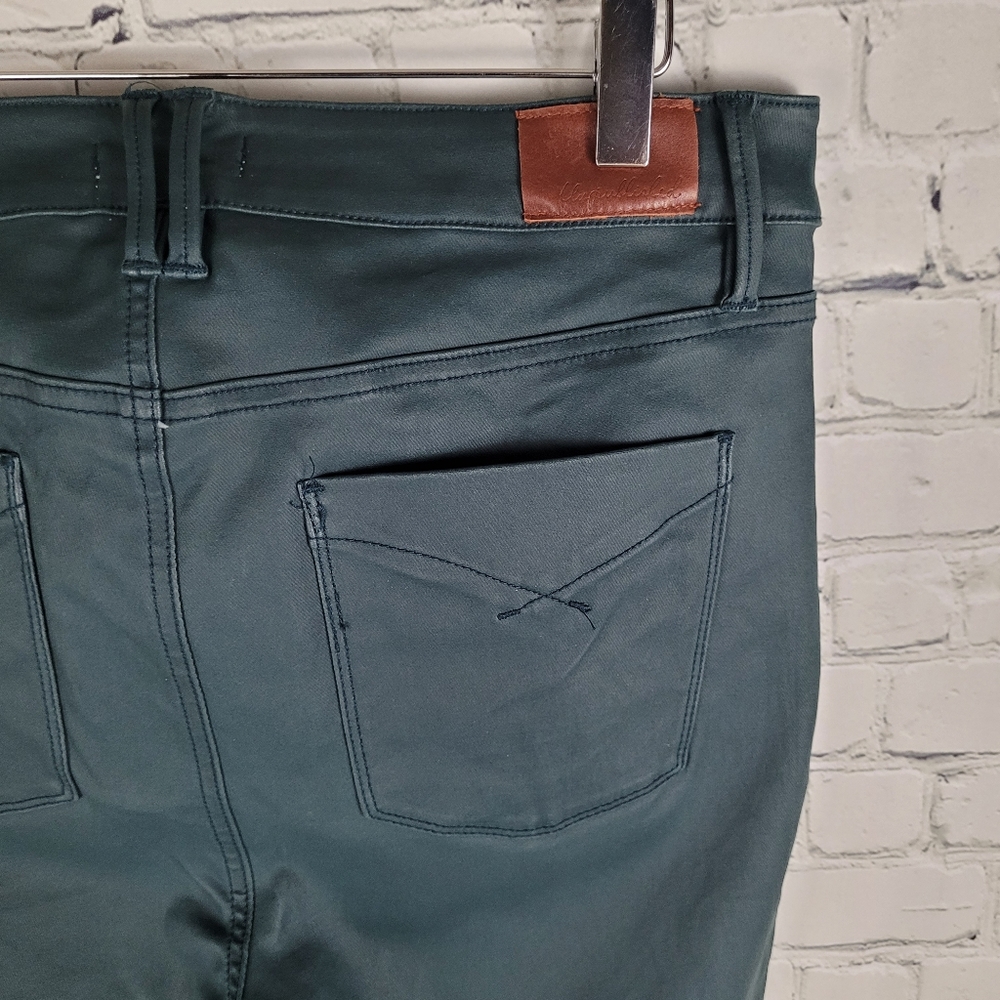 UNPUBLISHED | coated stretch skinny high rise pants